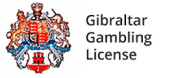 What are the different gaming licenses?